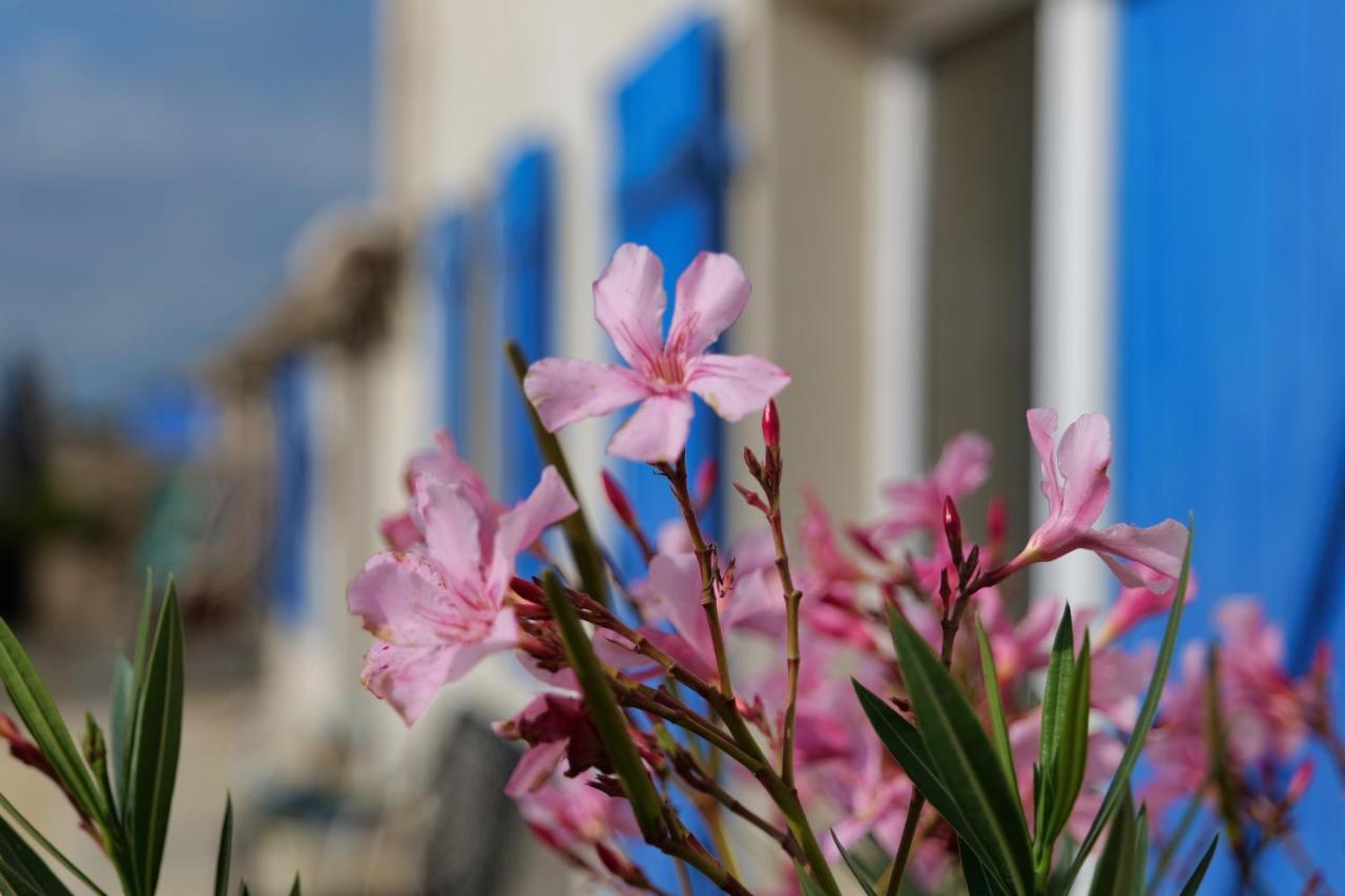 Bed and Breakfast Moulin De Mauzac Saint-Just-Luzac Exterior foto